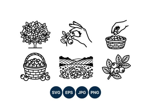 Blueberry Picking Line Art for Graphics and Illustrations